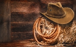 lasso and cowboy hat on hay