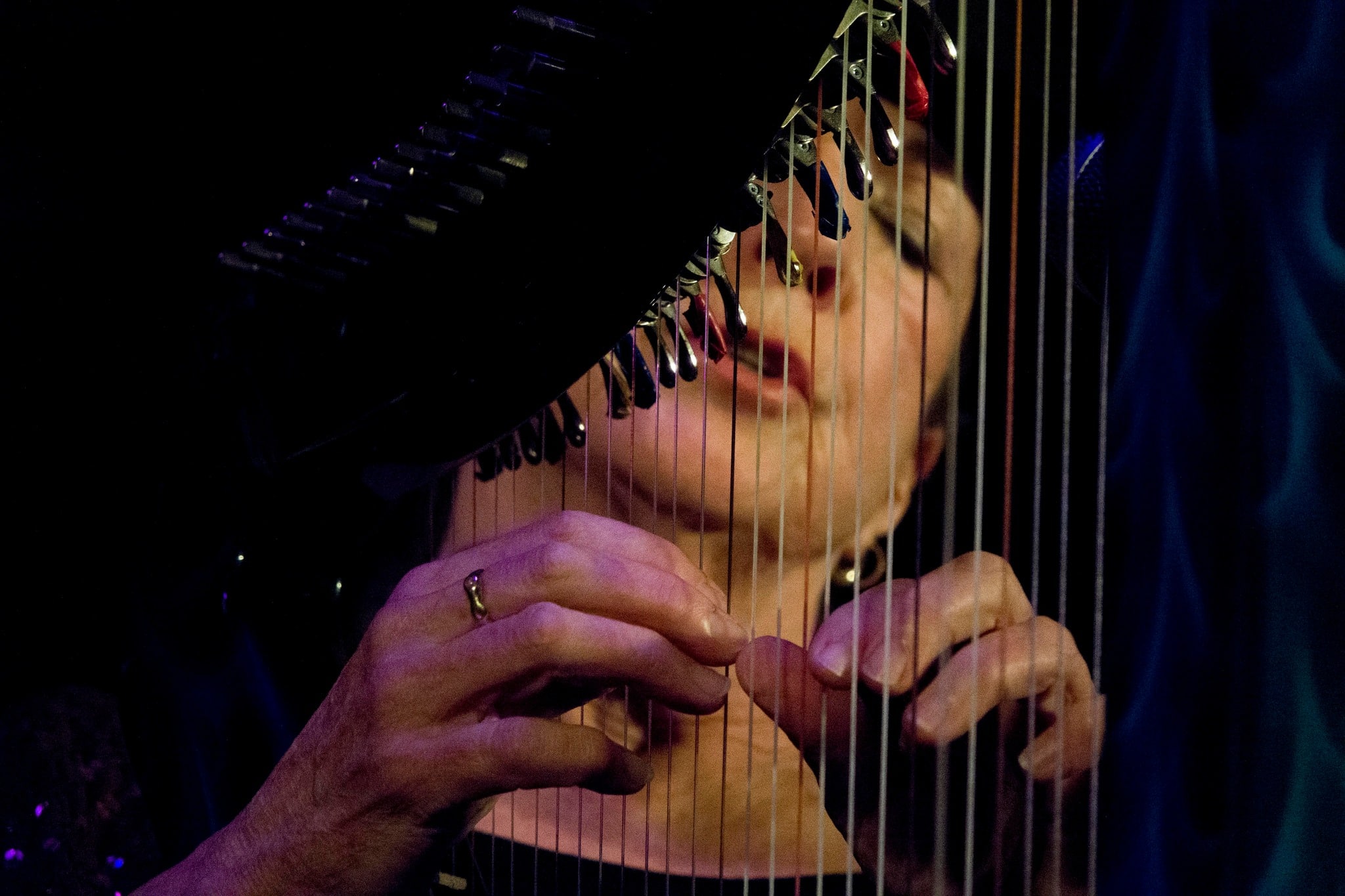a close up shot of the musician through her harp's strings