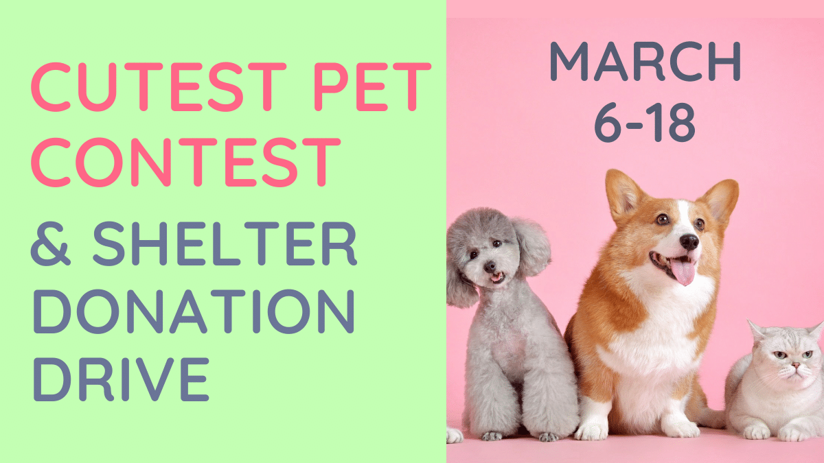 Cutest Pet Contest & Shelter Donation Drive, March 6-18